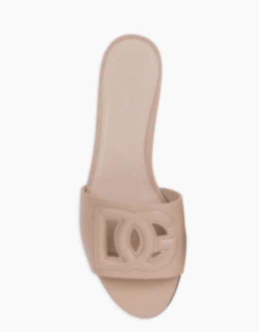 DG